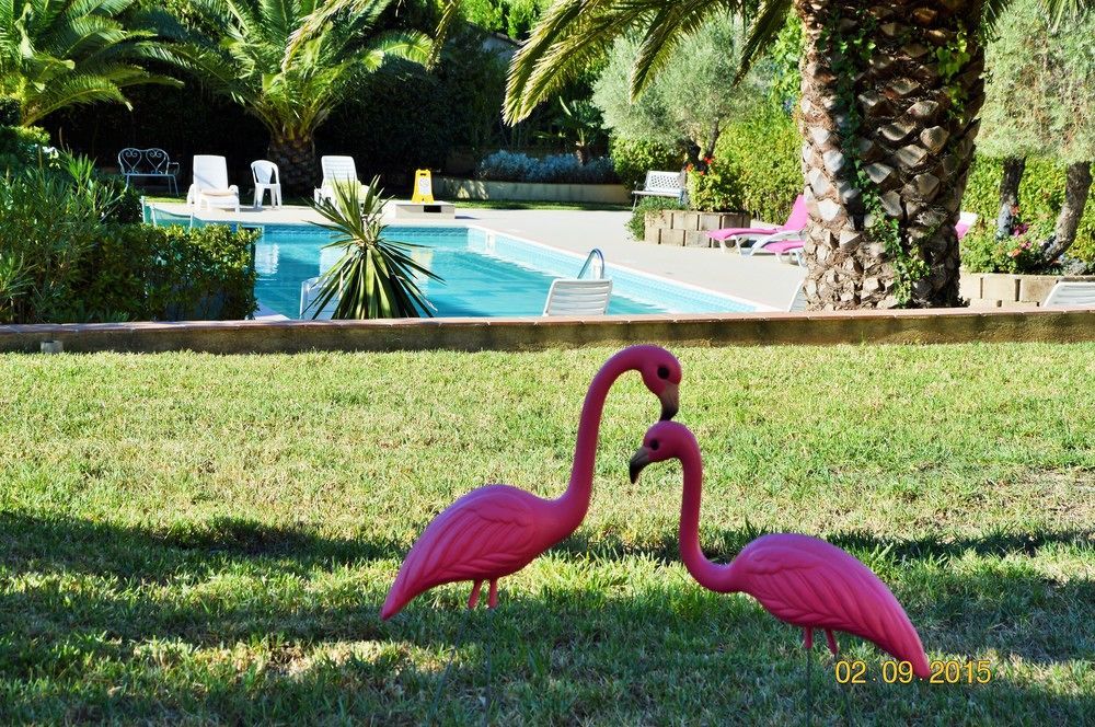 Villa Les 4 Saisons Saint Tropez Dış mekan fotoğraf